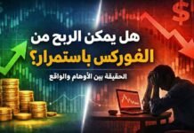 هل يمكن الربح من الفوركس باستمرار؟ الربح المستمر في الفوركس